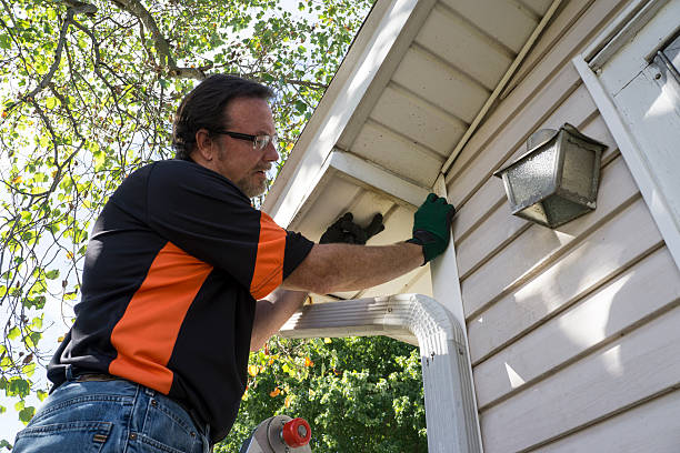 Best Siding Painting and Refinishing  in Patrick Springs, VA